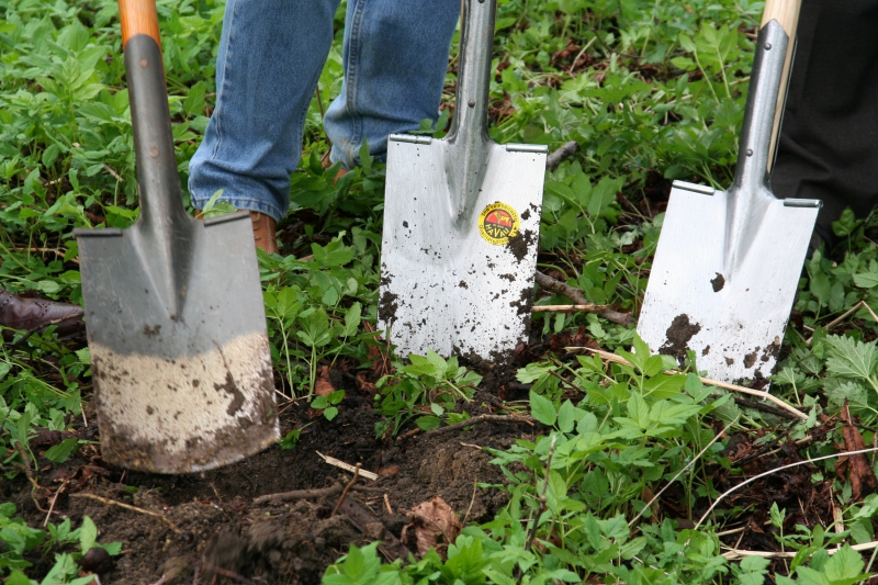 pepiniere-TANNERON-min_work-lawn-flower-tool-green-backyard-1103633-pxhere.com